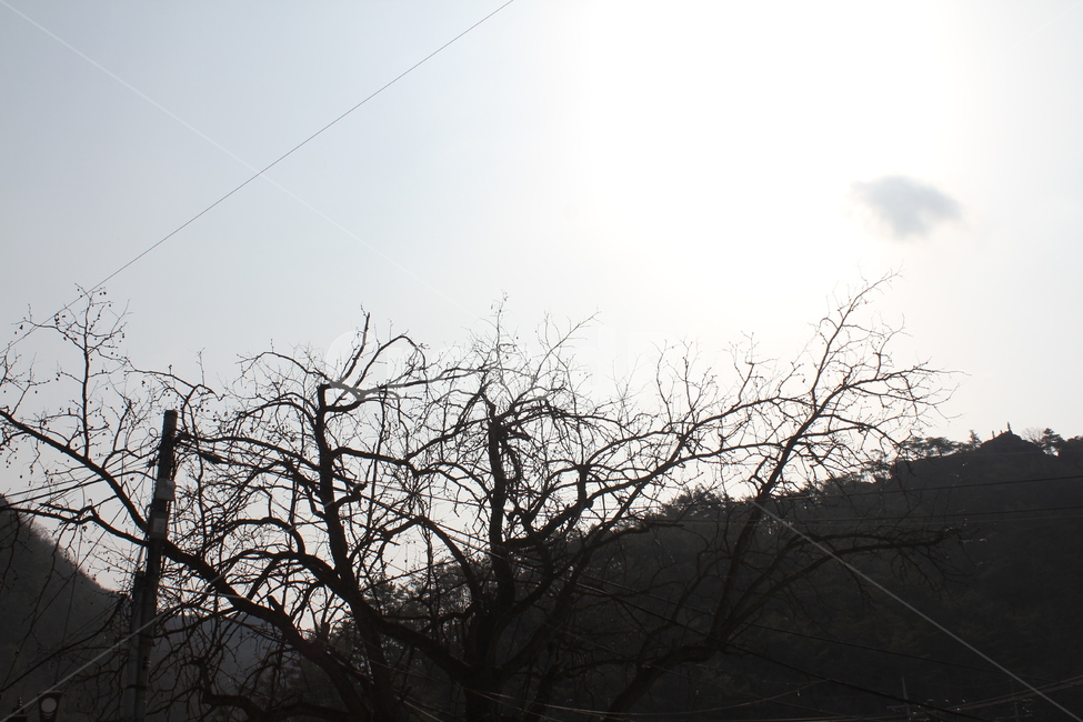 경치,풍경,자연,아름다움,감성,자연,풍경,nature,landscape