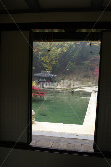 부용지,부용정,창덕궁후원,고궁,건축,전통건축,traditional,전통,가을,fall,나무,식물,plant,단풍,한국전통,한국문화,korean traditional,korean culture