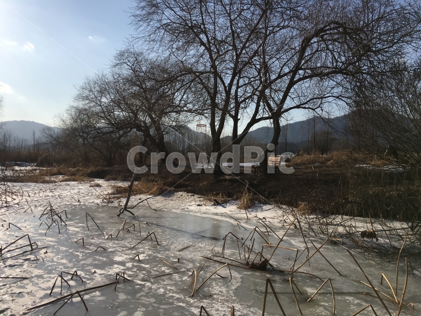 자연,경기도,두물머리,따뜻함,양평,겨울,계절,winter,season,자연,풍경,nature,landscape,한국자연풍경,한국자연경관,korea nature landscape,outdoors,옥외,ice,얼음