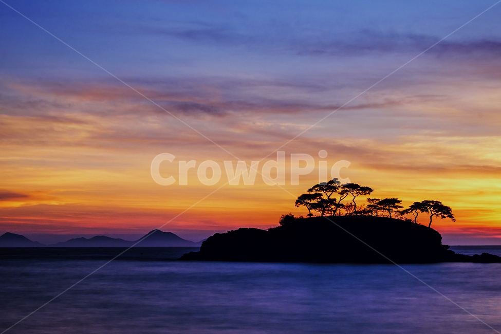 일몰,석양,황혼,저녁,소나무,솔섬,자연,풍경,바다,하늘,구름,자연,풍경,nature,landscape,한국자연풍경,한국자연경관,korea nature landscape,실루엣,그림자,silhouette,shadow,land,땅,outdoors,옥외,ocean,대양,sea,water,물,shoreline,해안선