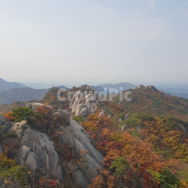 북한산국립공원,도봉산,낙엽,가을풍경,나무,바위