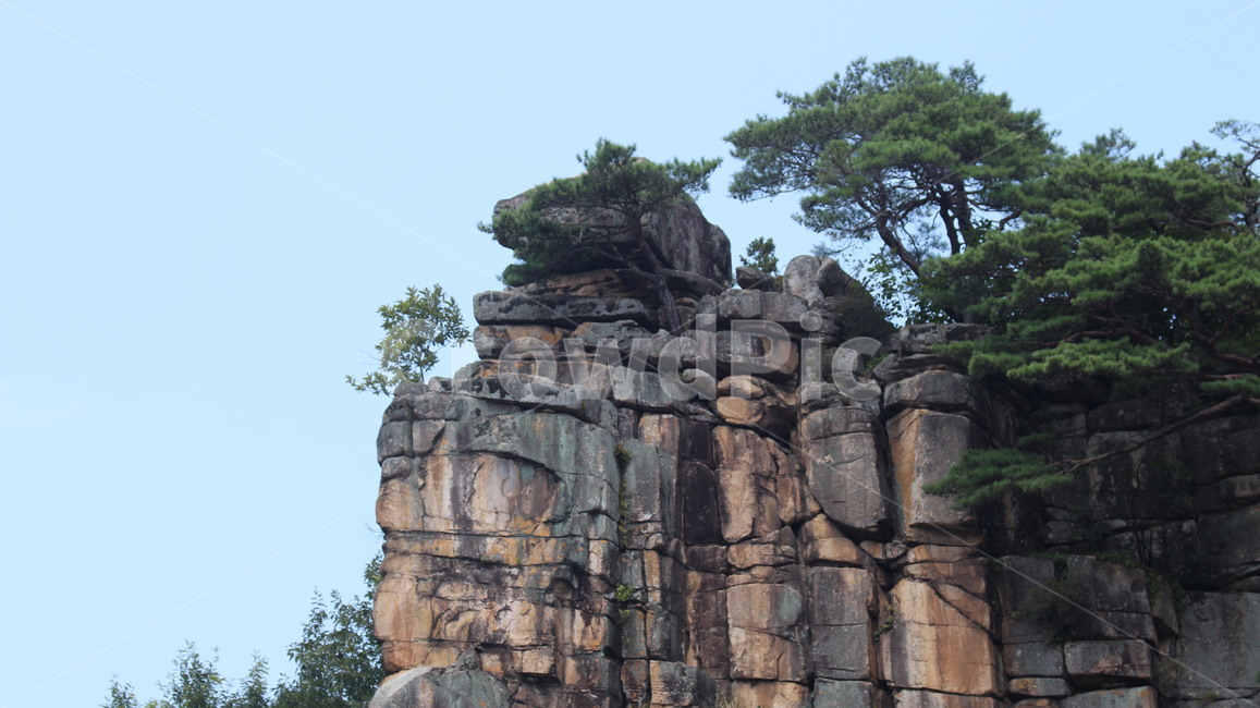 단양팔경,사인암,절벽,나무,풍경,자연환경,돌,명승,단양,자연,풍경,nature,landscape,한국자연풍경,한국자연경관,korea nature landscape,outdoors,옥외,cliff,낭떠러지