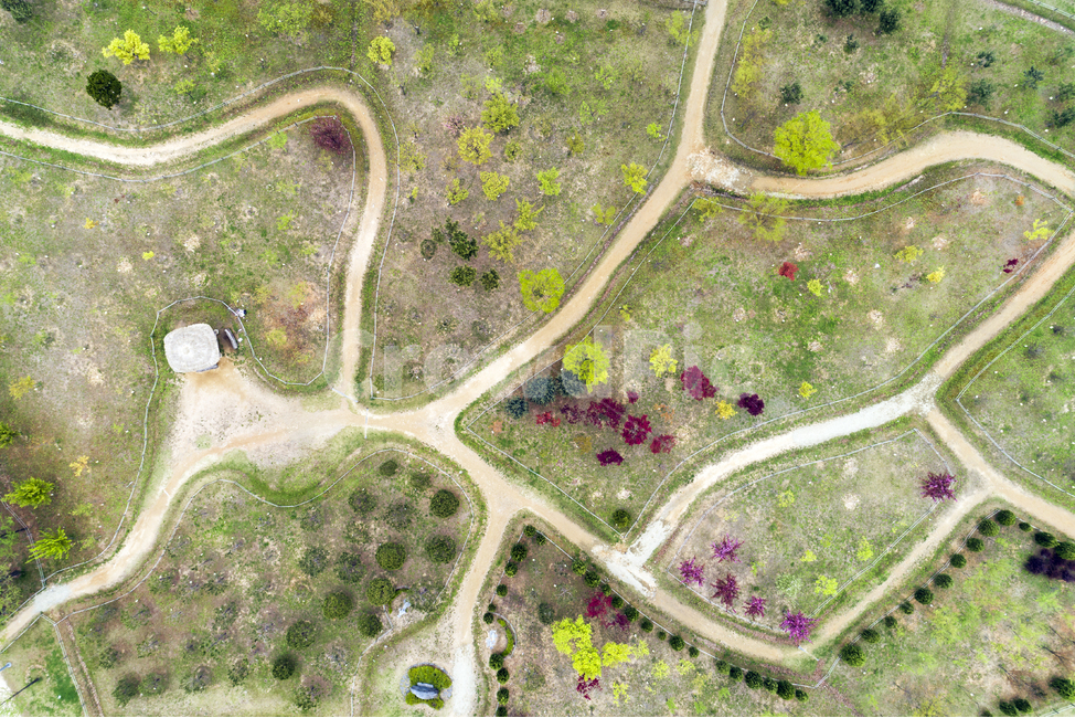nature,자연,landscape,경치,outdoors,옥외,풍경,조감도,봄,길,꽃,공원,spring