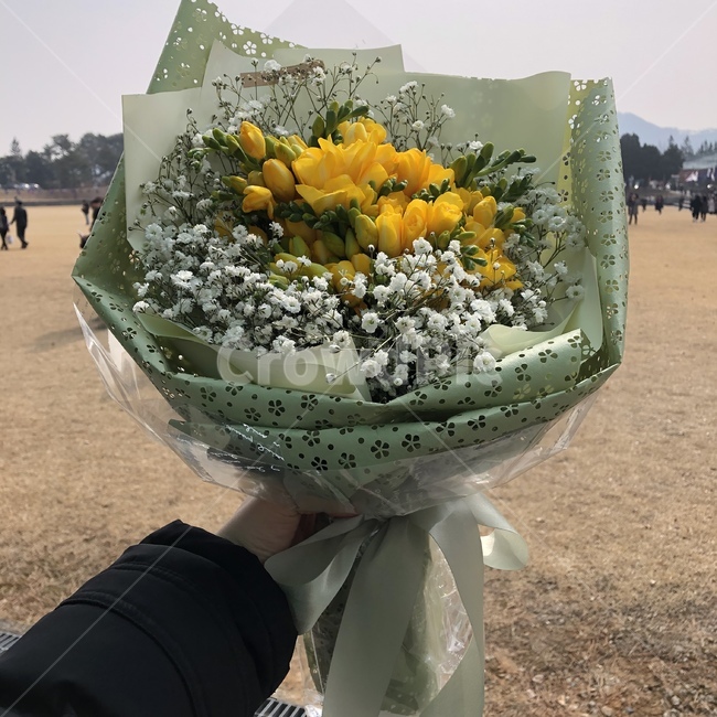 축하,노랑꽃,꽃다발,봄,3월,꽃,flower,기념일,축하,anniversary,congratulation,celebrate,celebration