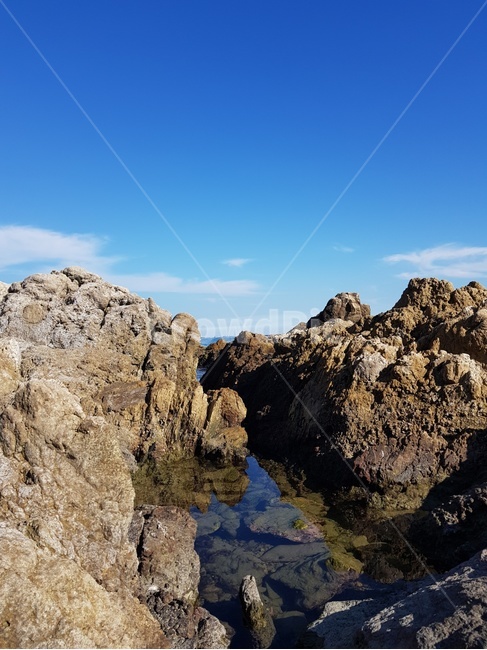 nature,자연,sea,바다,바위틈