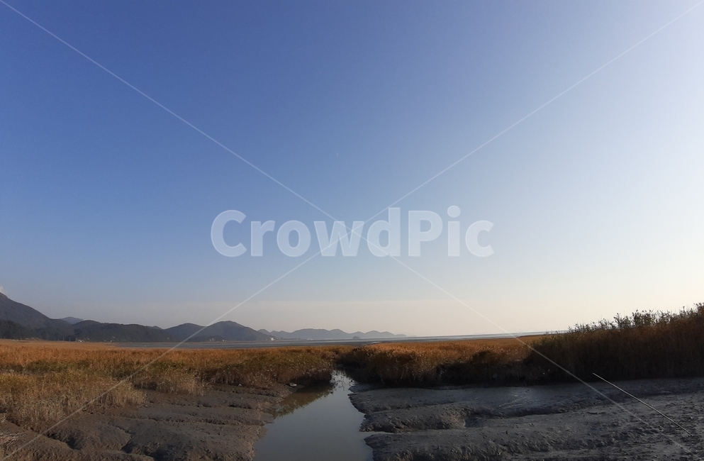 순천만,하늘,sky,파란하늘,푸른하늘,빛,right,ditch,자연,풍경,nature,landscape