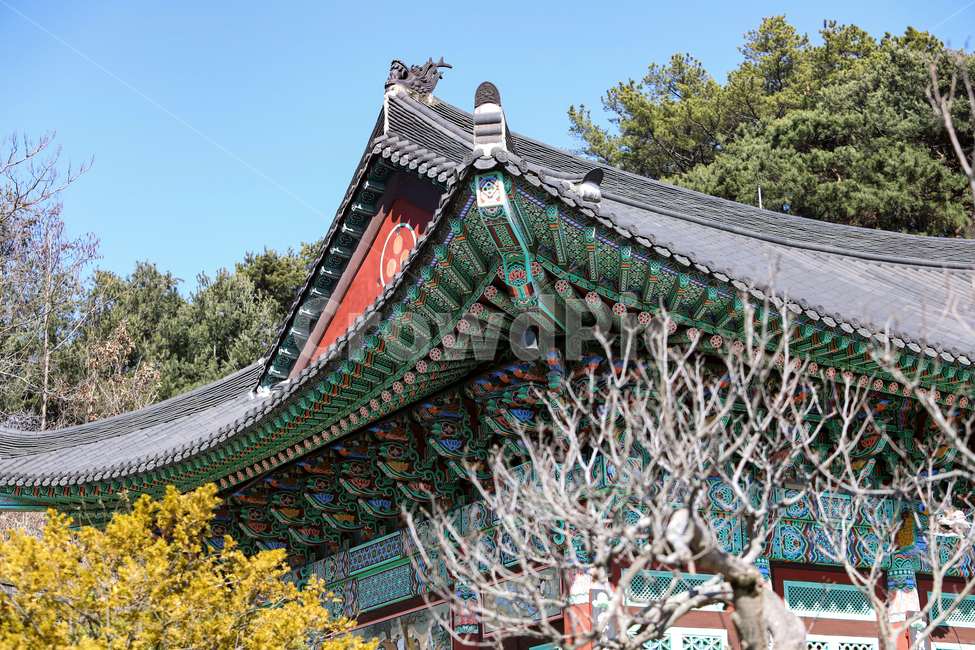 건물,종교,전통,무늬,집,지붕,기와,한옥,한국,문화,고건축,아시아,오래된,한국적인,동양적인,모던함,실외,외관,기둥,처마,대들보,절,단청,나무,사찰,풍경,기와지붕,불교