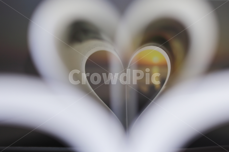 하트,heart,서적,사랑,love