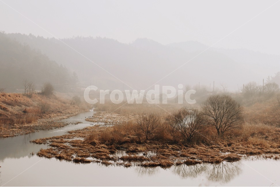장평,river,강,감성,나무,겨울,계절,winter,season,자연,풍경,nature,landscape,한국자연풍경,한국자연경관,korea nature landscape,outdoors,옥외,weather,날씨