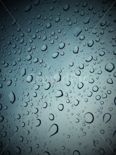 물,물방울,비,유리,빗방울,비,비오는날,rain,rainy