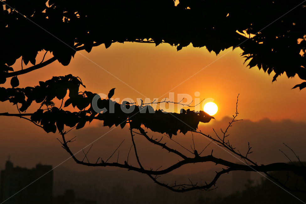 일몰,석양,해넘이,안개,지는해,붉은해,자연,풍경,nature,landscape,실루엣,그림자,silhouette,shadow,sunlight,햇빛,outdoors,옥외