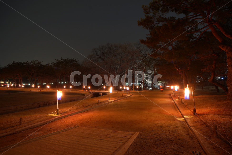 창경궁,고궁,야경,창경궁야경,장노출,야경,밤,풍경,nightscape,night,landscape,asphalt,아스팔트,path,통로,road,도로