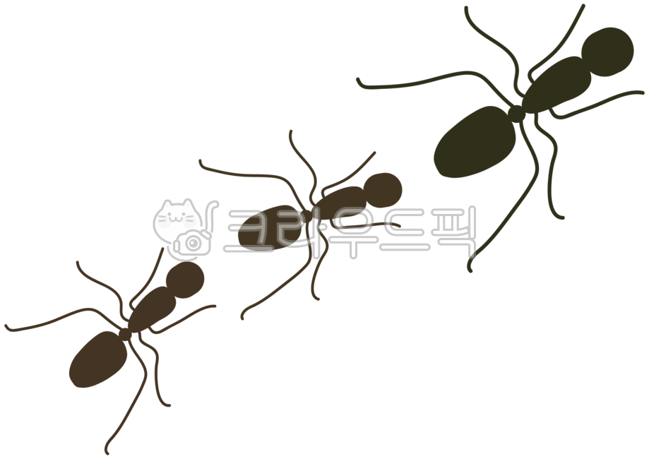 nature,ant,Educational materials,insect,Ant picture,Ant Illustration