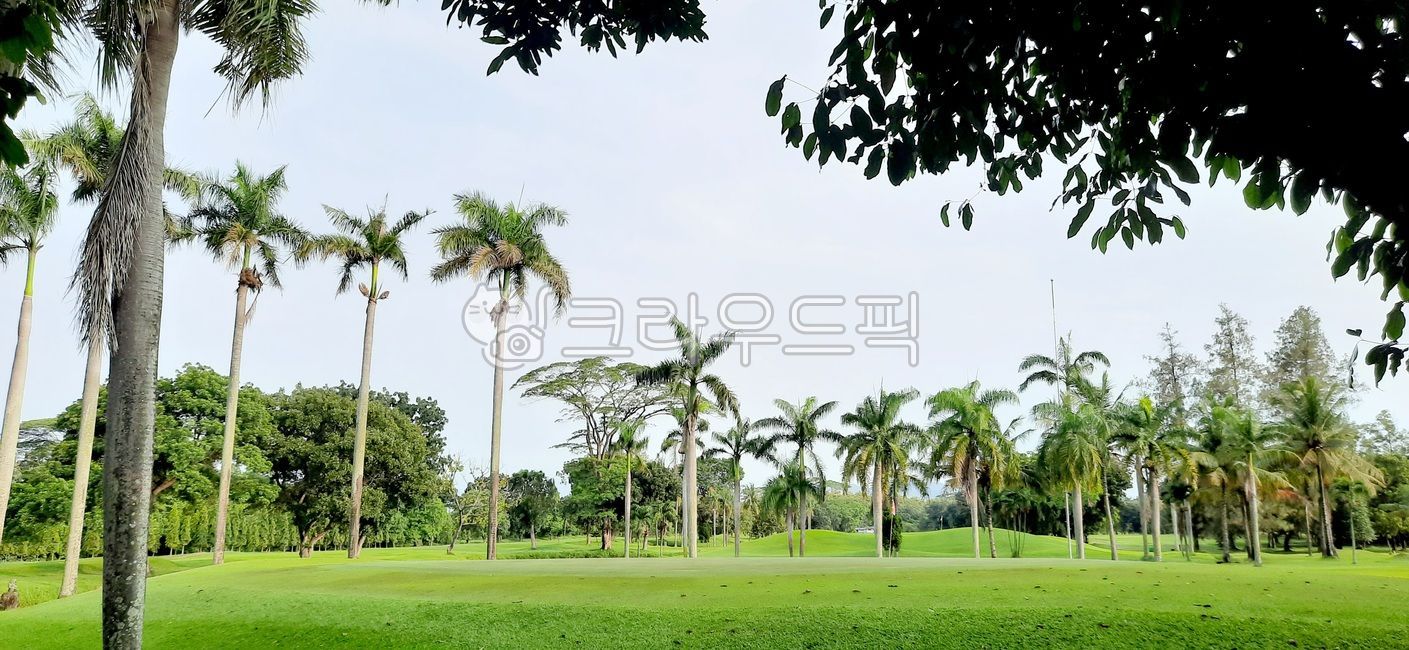 인도네시아골프장,동남아골프,골프코스,필드,field,golfcourse,페어웨이,fairway,fairway