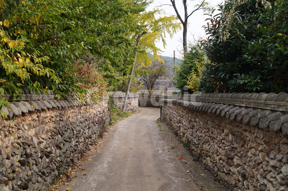 돌담,마을길,돌담길,시골길,담장,시골,마을,풍경,landscape,country,rural,town,골목길,alley,한국전통,한국문화,korean traditional,korean culture,slate,슬레이트,path,통로,outdoors,옥외,garden,정원