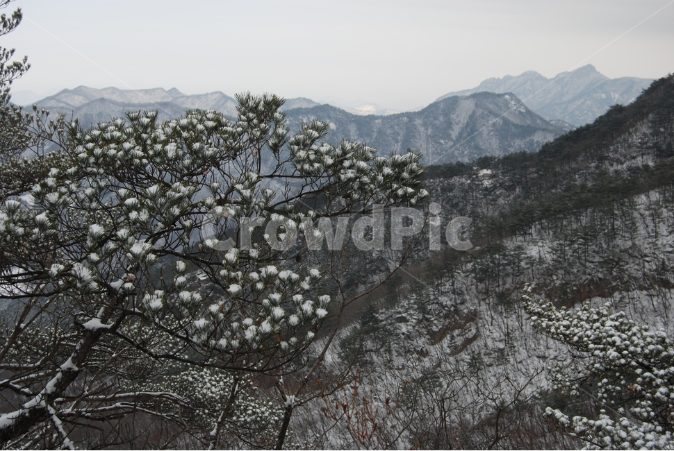 할미봉,겨울,눈,휴양림,자연,겨울,계절,winter,season,자연,풍경,nature,landscape,한국자연풍경,한국자연경관,korea nature landscape,outdoors,옥외