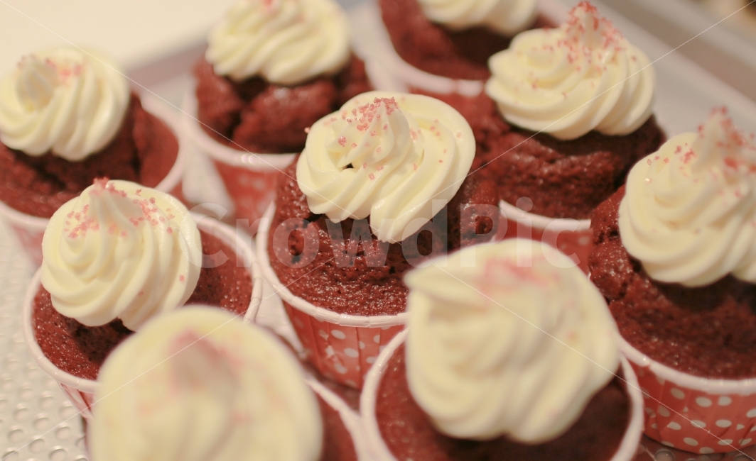 케이크,색감,일상,스냅,감성,감성사진,스냅사진,빵,컵케이크,크림치즈,daily,snap,cake,cupcake,mood,photography,bread,cheese,음식,식재료,요리,food,cook,meal,dishes,food reserves,빵,bread,디저트,간식,후식,dessert,snack,감성,sensible,feeling