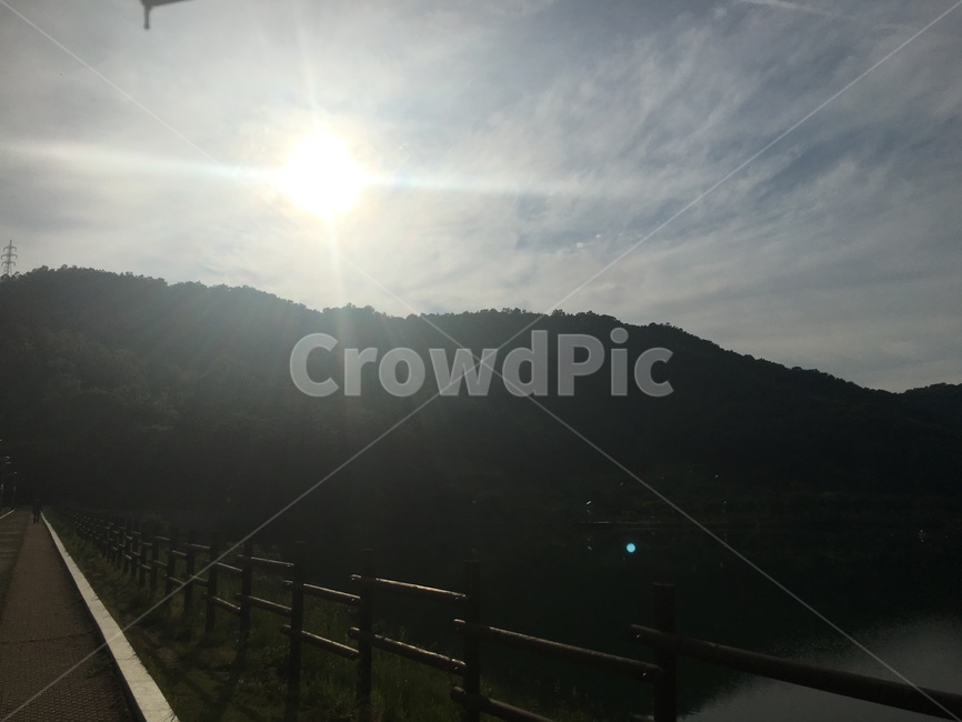 공원,숲,자연,공기,맑음,환경,자연,풍경,nature,landscape,light,빛,flare,플레어,sunlight,햇빛