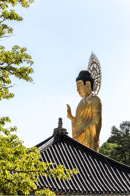 청동미륵불,기와,문화유산,법주사,전통,사찰,불교,한국전통,한국문화,korean traditional,korean culture,조각상,동상,석상,조형물,statue,bronze statue,stone statue,종교,신앙,religion,belief,faith,건축물,건물외관,exterior,building,structure,architecture,construction