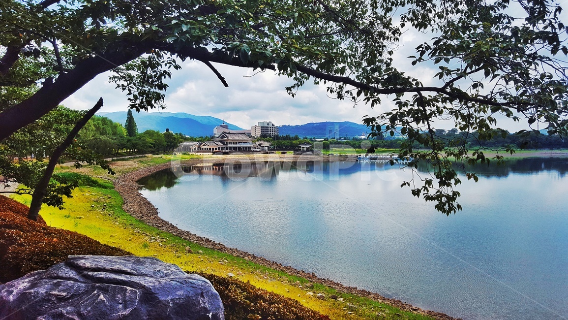 경주,보문호,보문단지,호수,풍경,자연,나무,자연,풍경,nature,landscape,한국자연풍경,한국자연경관,korea nature landscape,water,물,outdoors,옥외