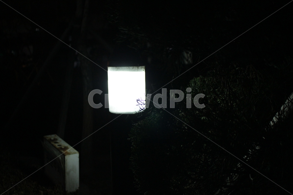 lamp,램프,등불,밤,빛,조명,밝음,거리,night,light