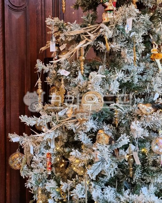 ornament,christmastree,장식,크리스마스트리,크리스마스장식,크리스마스,christmas