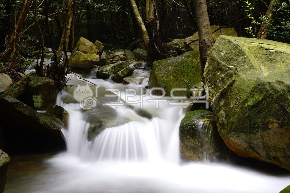 청산도계곡,청산도큰산계곡,청산도,계곡,청산도산