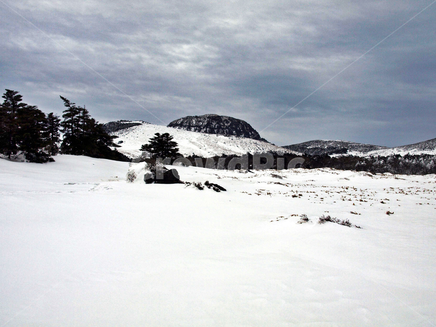 어리목,한라산,제주도,겨울,설산,설경,눈,백록담,겨울,계절,winter,season,자연,풍경,nature,landscape,outdoors,옥외,mountain,산