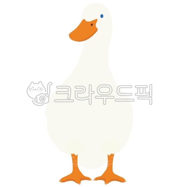 오리,오리캐릭터,오리일러스트,귀여운오리,동물,동물원,동물일러스트,동물얼굴,캐릭터,동물캐릭터,동물그림,동물이미지,duck