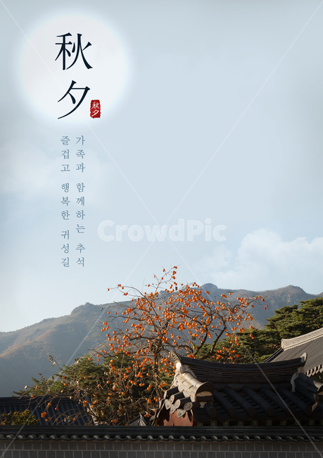 한옥,감나무,감,단감,풍경,기와,지붕,가을,전통,명절,추석,한가위,중추절,한국전통,한국문화,korean traditional,korean culture,건축물,건물외관,exterior,building,structure,architecture,construction,그래픽,일러스트레이션,graphic,illustration