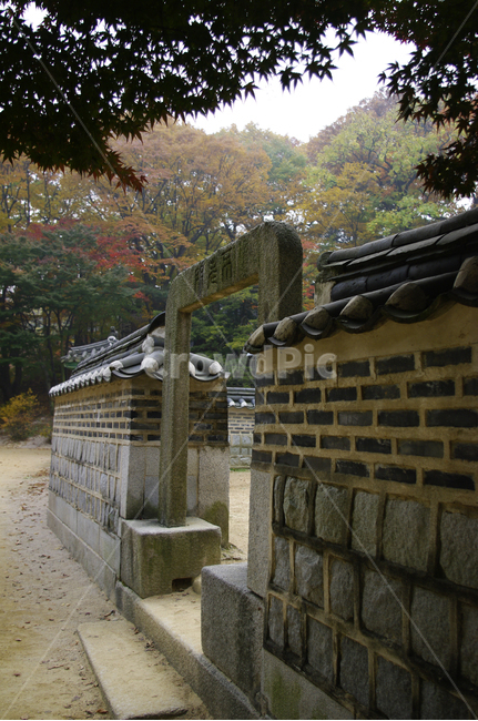 불로문,창덕궁후원,고궁,건축,전통건축,traditional,전통,나무,식물,plant,한국전통,한국문화,korean traditional,korean culture,건축물,건물외관,exterior,building,structure,architecture,construction