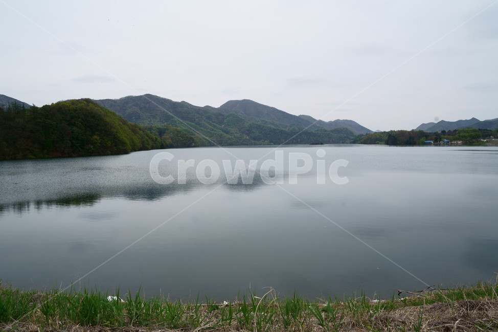 풍경,산수화,담수호,호수,저수지,물결,봄