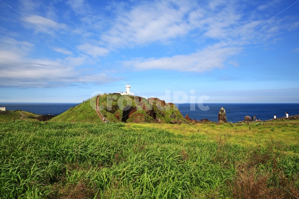 promontory,곶,nature,자연,outdoors,옥외,grass,잔디,plant,식물,ocean,대양,sea,바다,water,물,shoreline,해안선,제주,섭지코지,해변,자연,풍경,nature,landscape