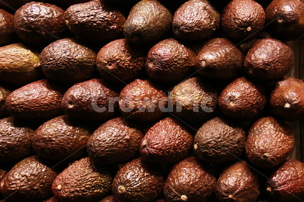 아보카도,과일사진,과일,시장,과일접사,고지방,지방,외국과일,아보카도사진,음식,식재료,요리,food,cook,meal,dishes,food reserves,과일,열매,fruit