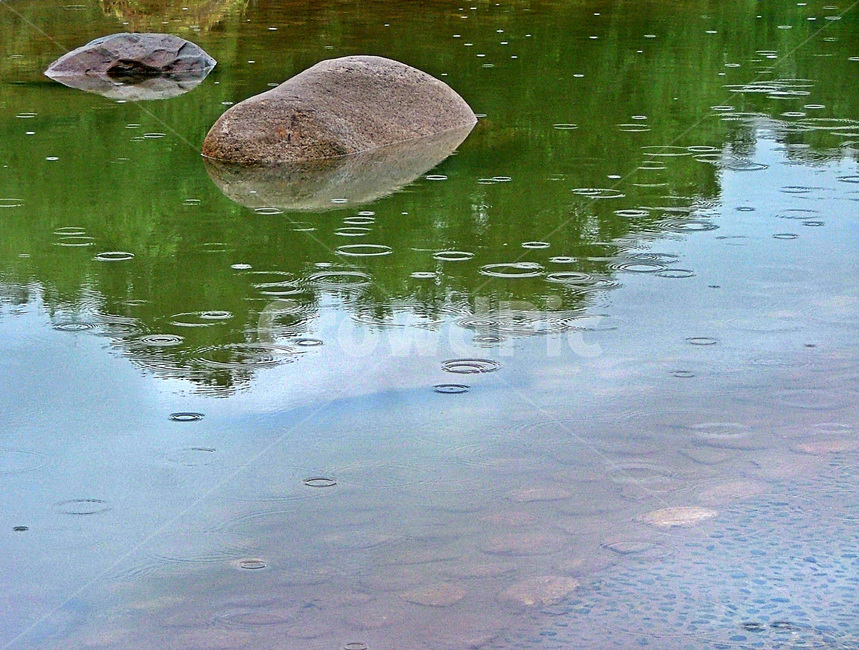 파문,비,바위,연못,수면,반영,자연,풍경,nature,landscape,water,물,outdoors,옥외