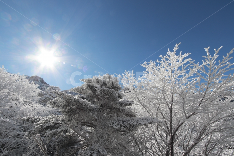한라산,상고대,설산,겨울,겨울산행,눈꽃,진달래대피소,성판악,관음사,제주도,제주,백록담,겨울,계절,winter,season,자연,풍경,nature,landscape,outdoors,옥외