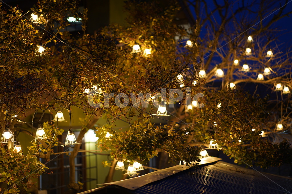 야경,분위기,감성사진,배경화면,데코레이션,야경,밤,풍경,nightscape,night,landscape,light,빛,flare,플레어