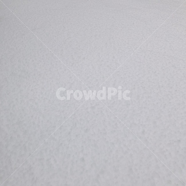 눈,겨울,snow,winter,눈밭