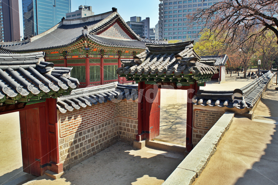 석류문,출입문,덕수궁,대한제국,고종,담장,한국전통,한국문화,korean traditional,korean culture,건축물,건물외관,exterior,building,structure,architecture,construction