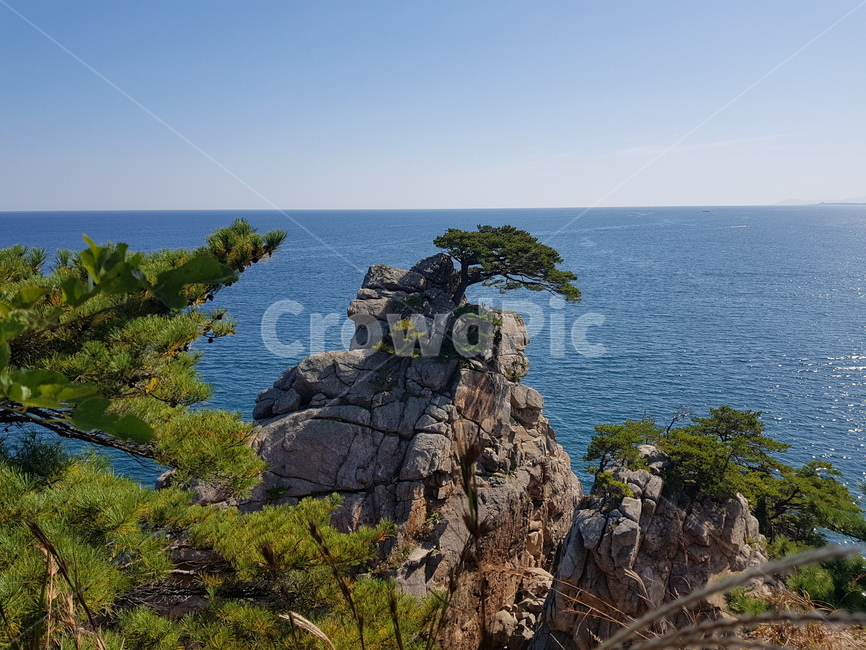 남해,여수,바다,자연,소나무,바위,풍경,휴가,해안선,sea,ocean