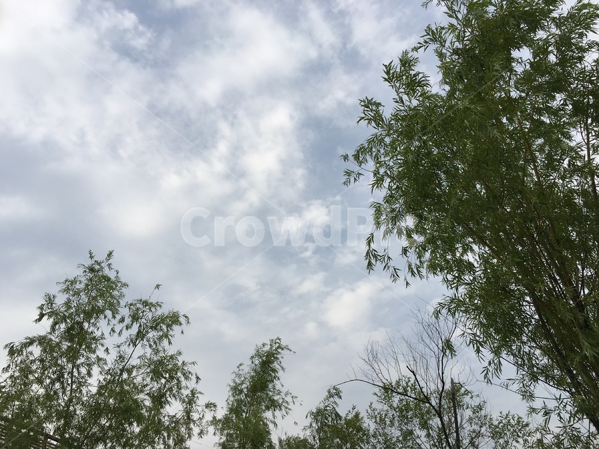 구름,맑은하늘,cloud,하늘,sky