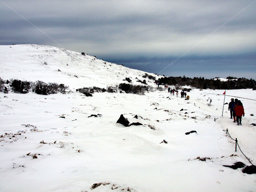 어리목,한라산,제주도,겨울,설산,설경,눈,탐방로,등산로,등산객,겨울,계절,winter,season,자연,풍경,nature,landscape,outdoors,옥외,mountain,산