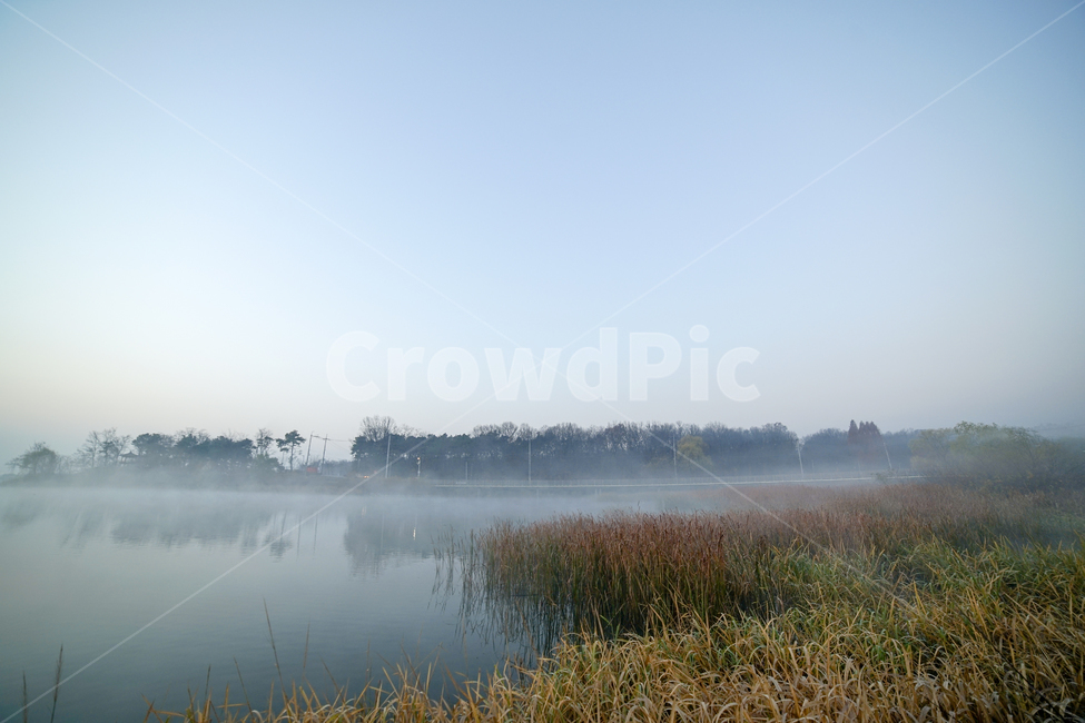 호수,안개,가을,물안개,여명,새벽,가을,계절,fall,autumn,season,자연,풍경,nature,landscape,weather,날씨,outdoors,옥외
