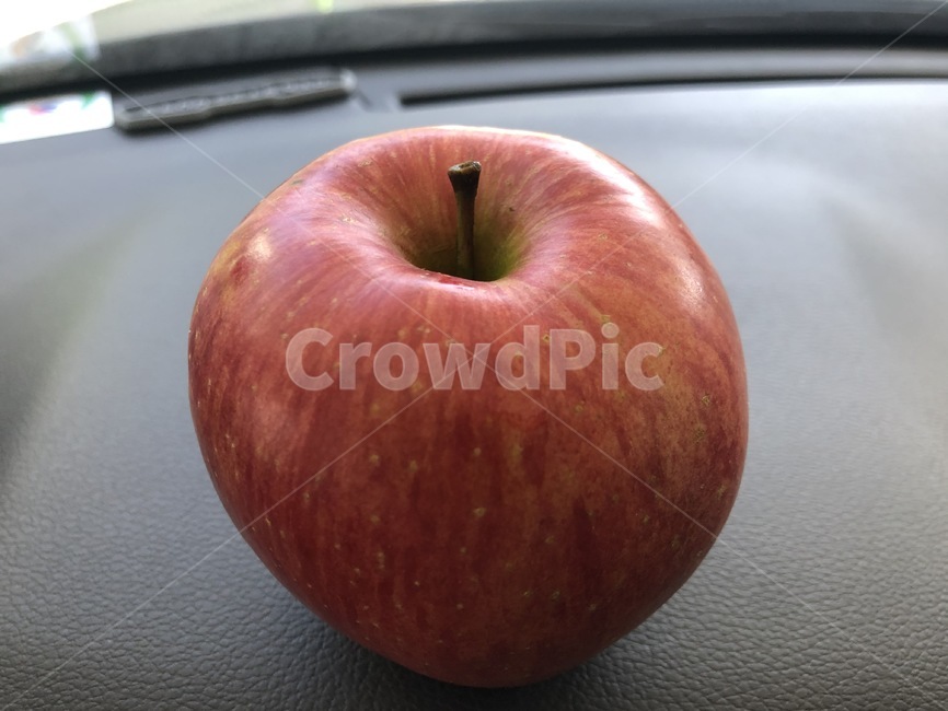 식물,plant,과일,apple,사과