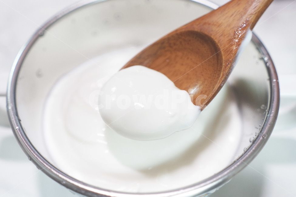 요거트,요구르트,홈메이트요거트,유산균,플레인요거트,yogurt