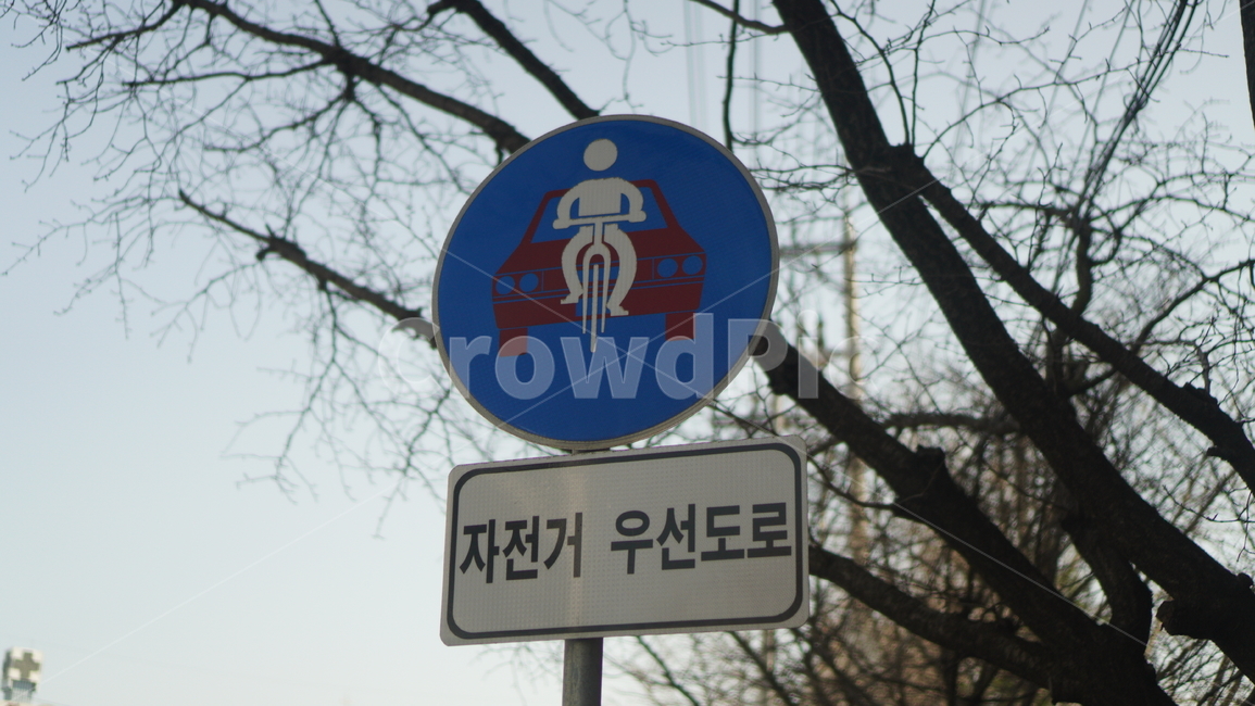 symbol,상징,이륜차우선,자전거우선도로,도로표지판,파랑색표지판