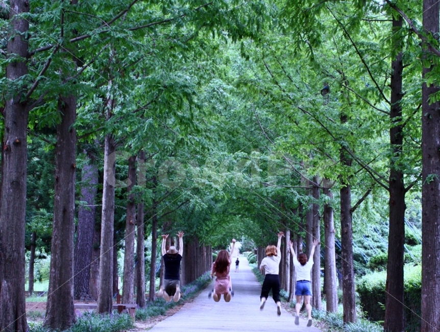맥문동,메타쉐콰이아,초록,더높이,싱그러움,여름,계절,summer,season,여행,휴가,traveling,vacation,trip,사람,인물,인간,human,person,감정표현,기분,feeling,emotion,친구,우정,friendship,companion,연출,컨셉,콘셉,direction,concept,outdoors,옥외,garden,정원