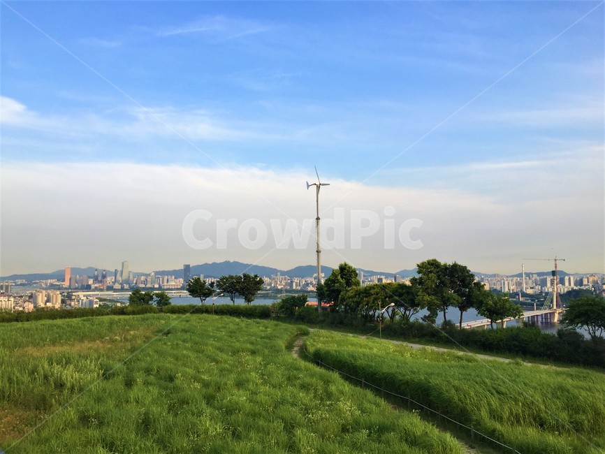 초원,자연,풍경,식물,들,자연,풍경,nature,landscape,grass,잔디,plant,field,outdoors,옥외