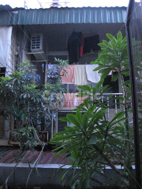 동남아,summer,베트남,Vietnam,outdoors,옥외,garden,정원,삭막,그린,green,전망
