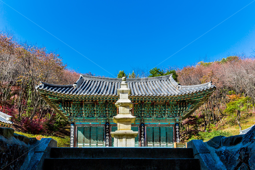 단풍,사찰,탑,문화유산,전통,문화명소,관광명소,기와,한국전통,한국문화,korean traditional,korean culture,종교,신앙,religion,belief,faith,건축물,건물외관,exterior,building,structure,architecture,construction